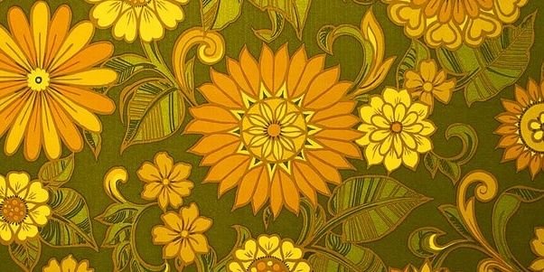 gray_monarch's profile banner image