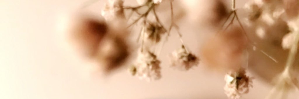 FROOHA1432's profile banner image