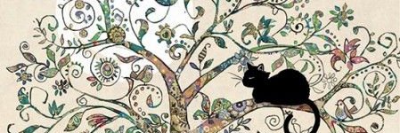 Rutileando's profile banner image