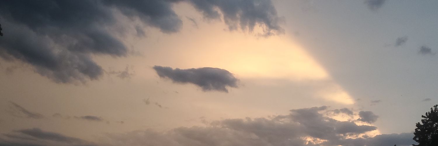 eeveewarrior's profile banner image
