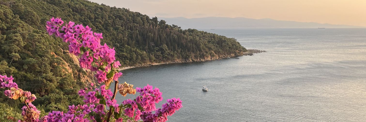 Captain Overprotective (persia) banner