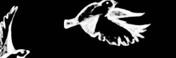 i_malaz's profile banner image
