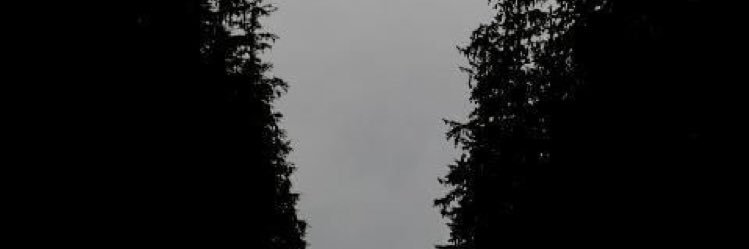 DarkSpiderGaming banner