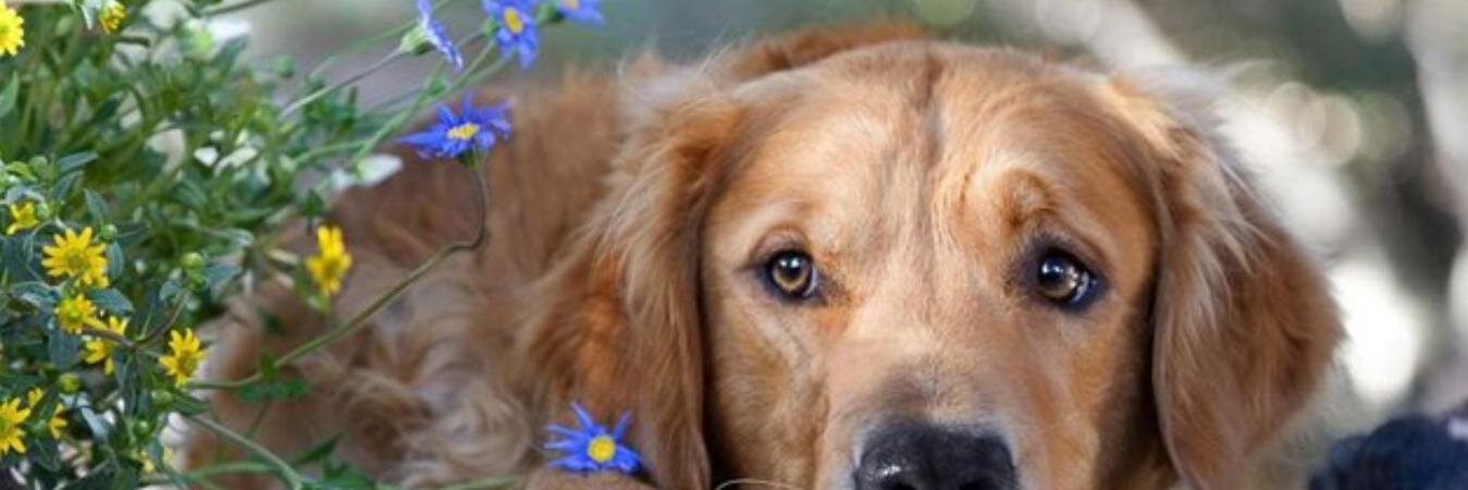 JNALJZ's profile banner image