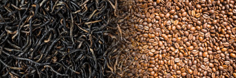 TC Trade Journal banner