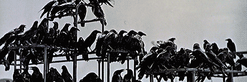 AgentDhhi's profile banner image