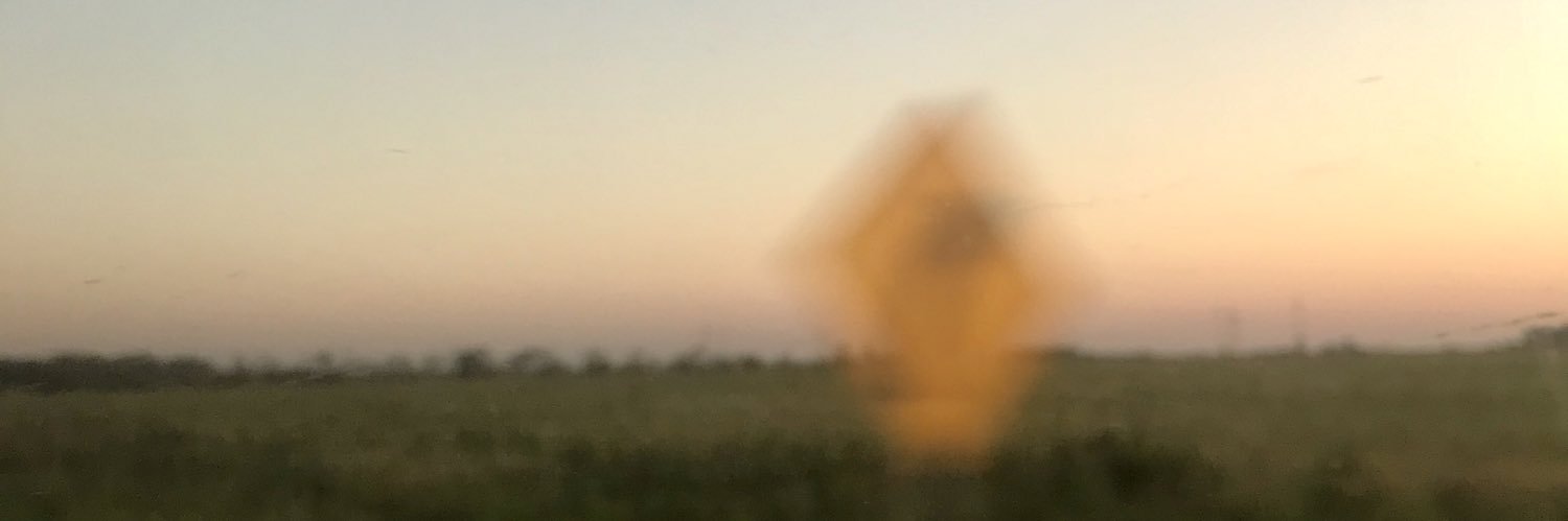 Dinoceccarelli_'s profile banner image