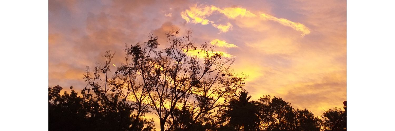 KaritoCuerva's profile banner image