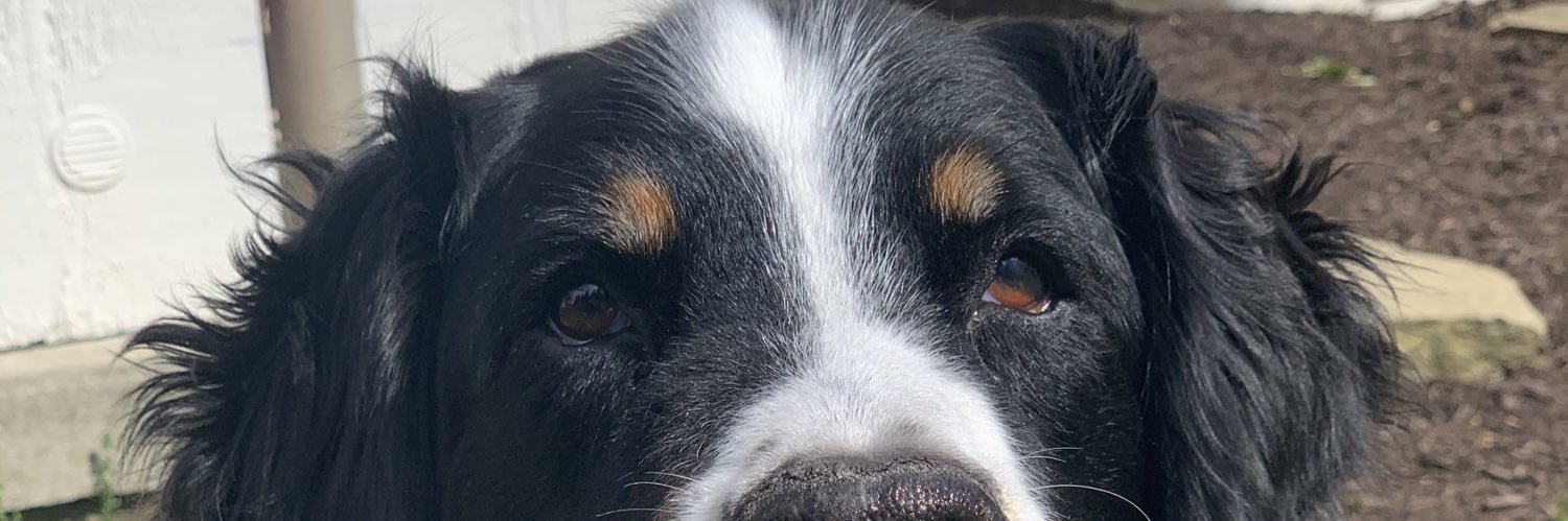 pghjerry's profile banner image