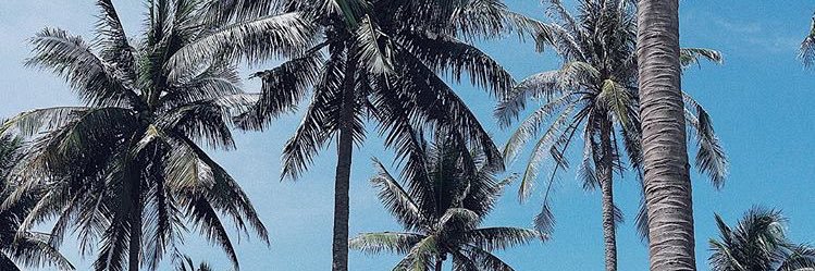 ami1229's profile banner image