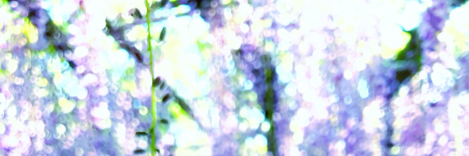 temperanceruby's profile banner image