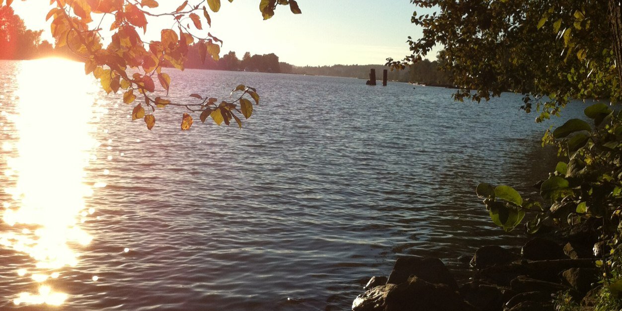 Heather Foster🇨🇦 banner