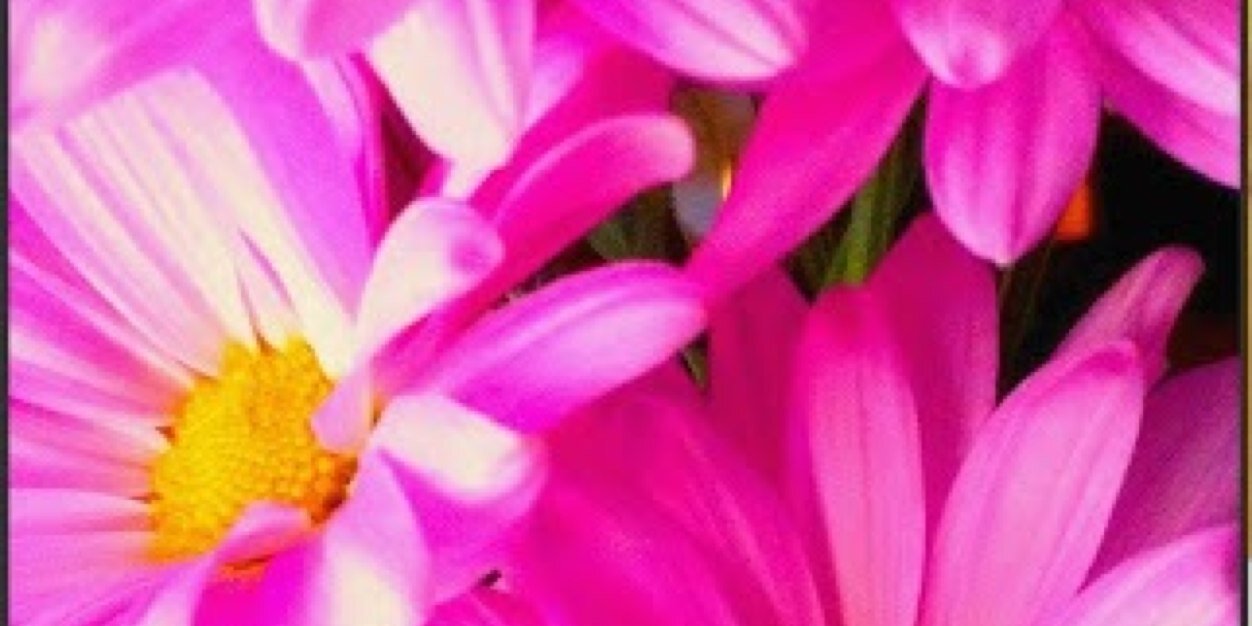 Deb Baff 🤗💖🦄 banner