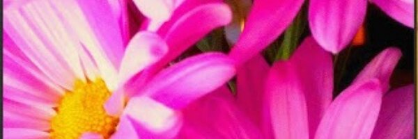 debbaff Profile Banner