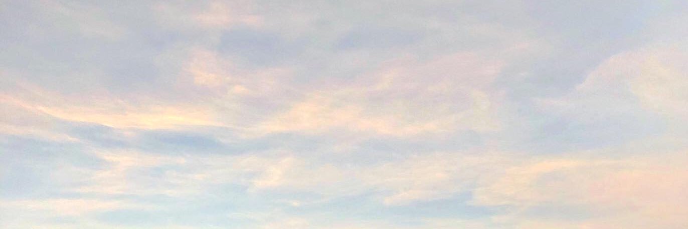 桃子 banner