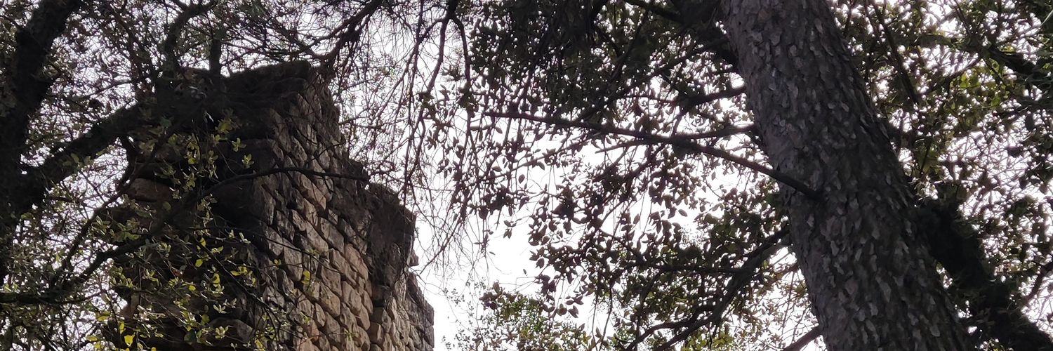 almateu's profile banner image