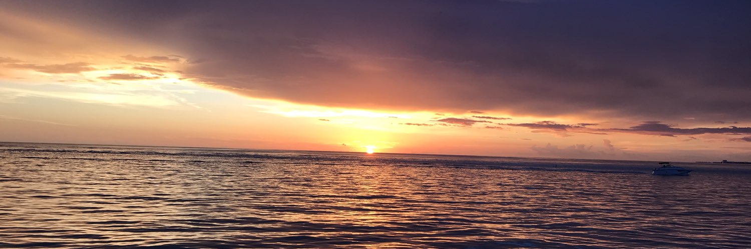 Emily Harrison banner