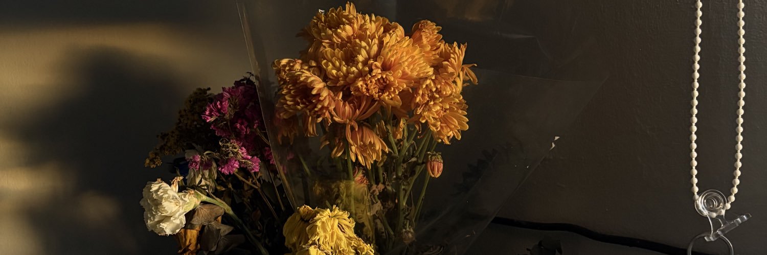 bramdte's profile banner image