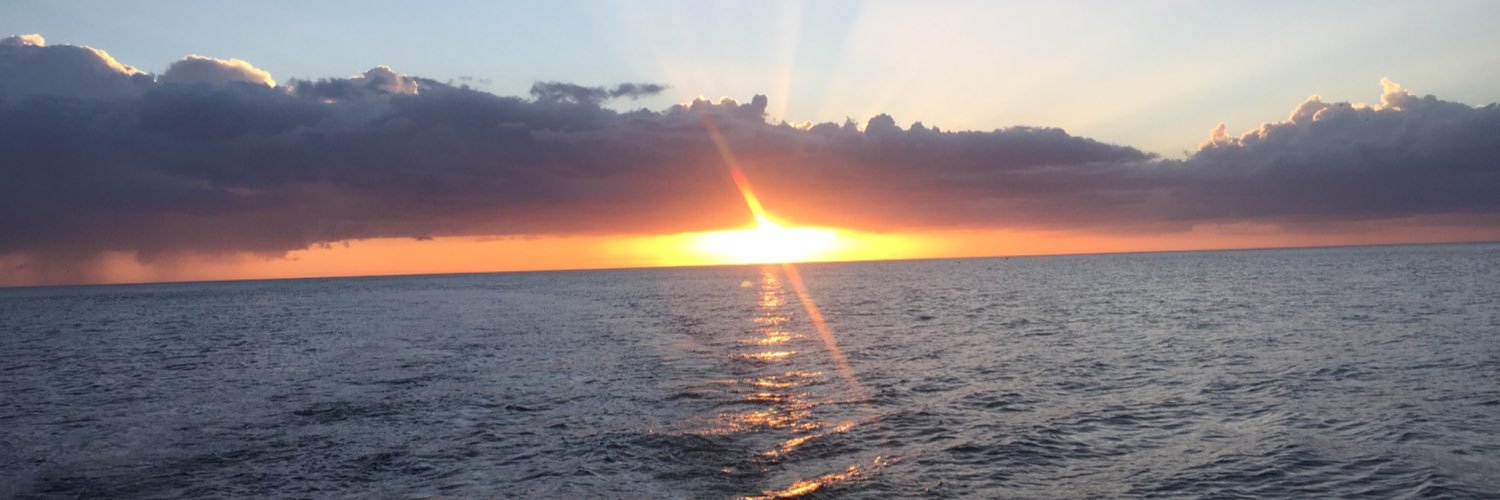 DonnaEKing's profile banner image