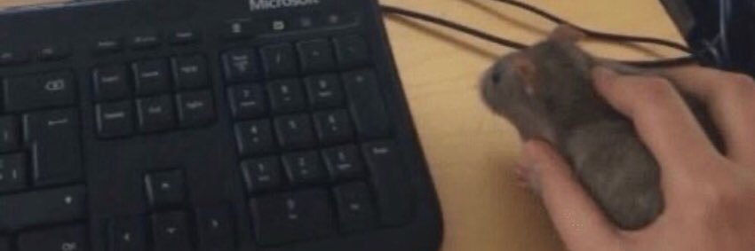 MonsterMashSux's profile banner image