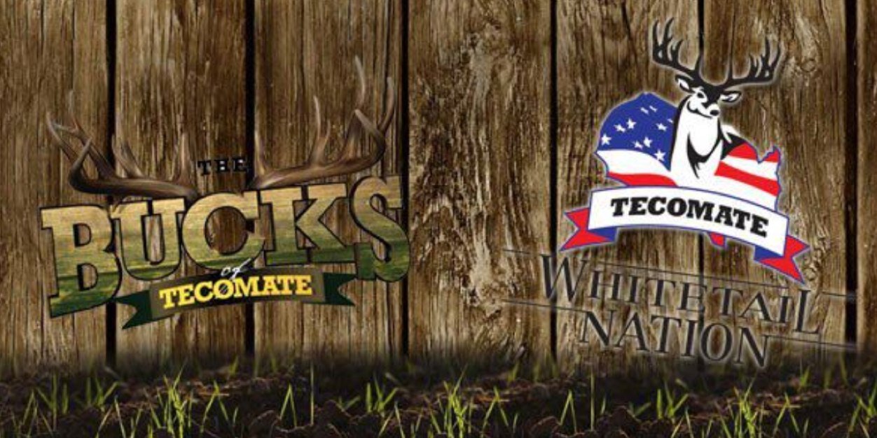 DM_Tecomate's profile banner image