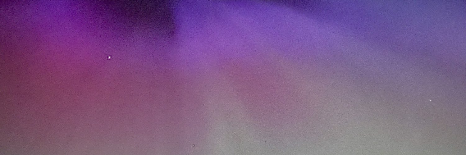 lorraineHamm's profile banner image