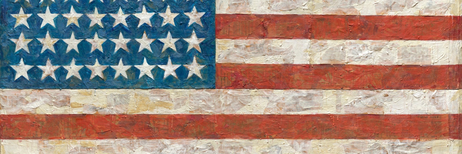 Meghan McCain's banner
