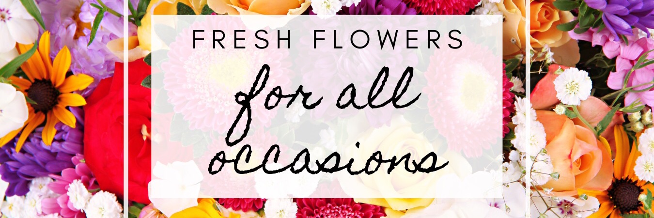 AlphaBetaFlora's profile banner image