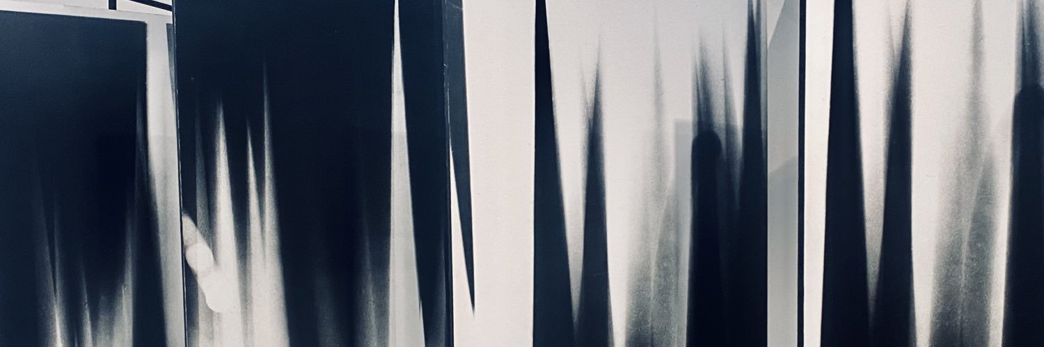 tara flanagan banner