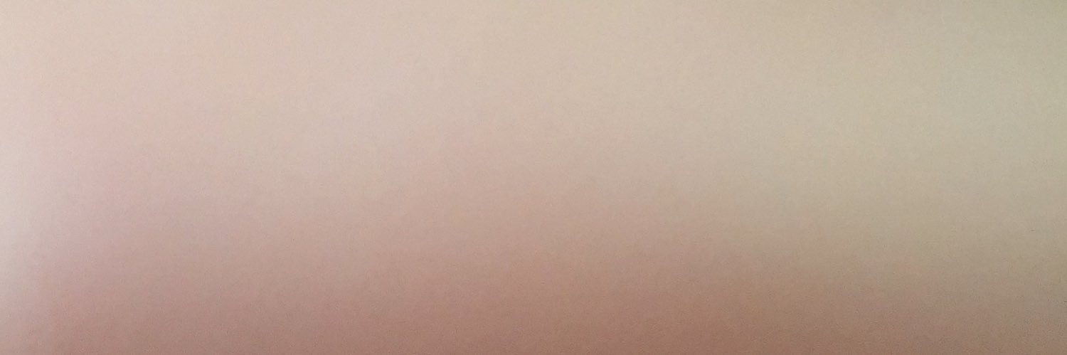 monkeydelarctic's profile banner image