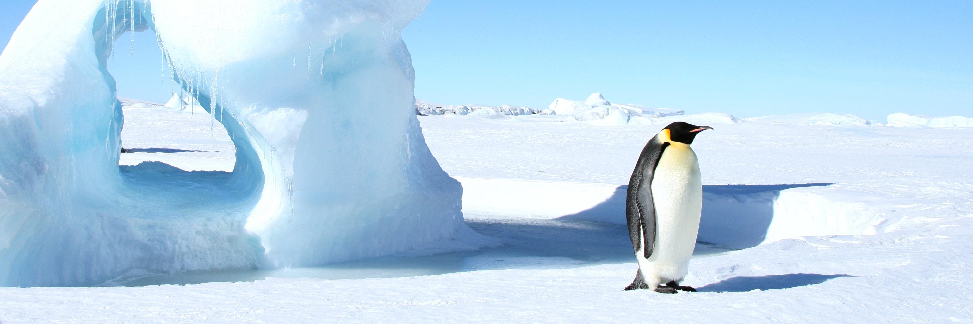 keepitfrozen's profile banner image