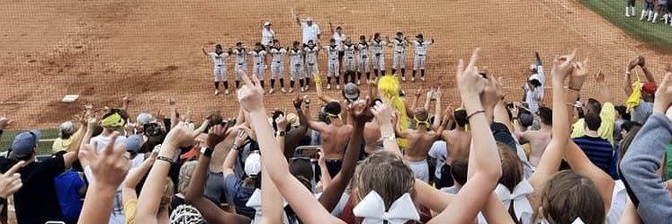 Liberty Lady Panther SOFTBALL banner