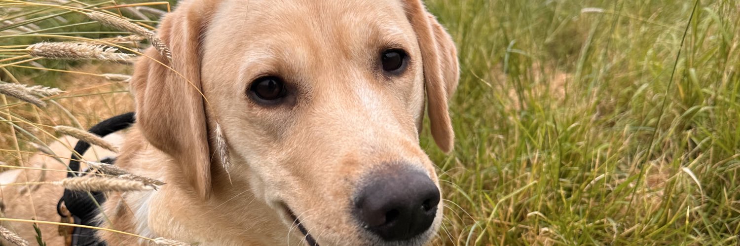 Billy_Clarkson4's profile banner image