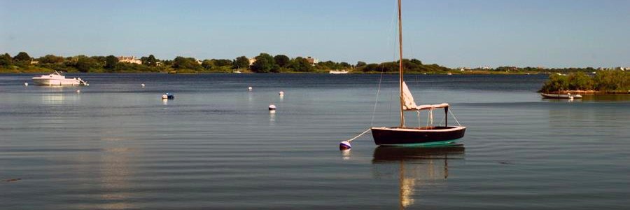 Randall_Realtor's profile banner image