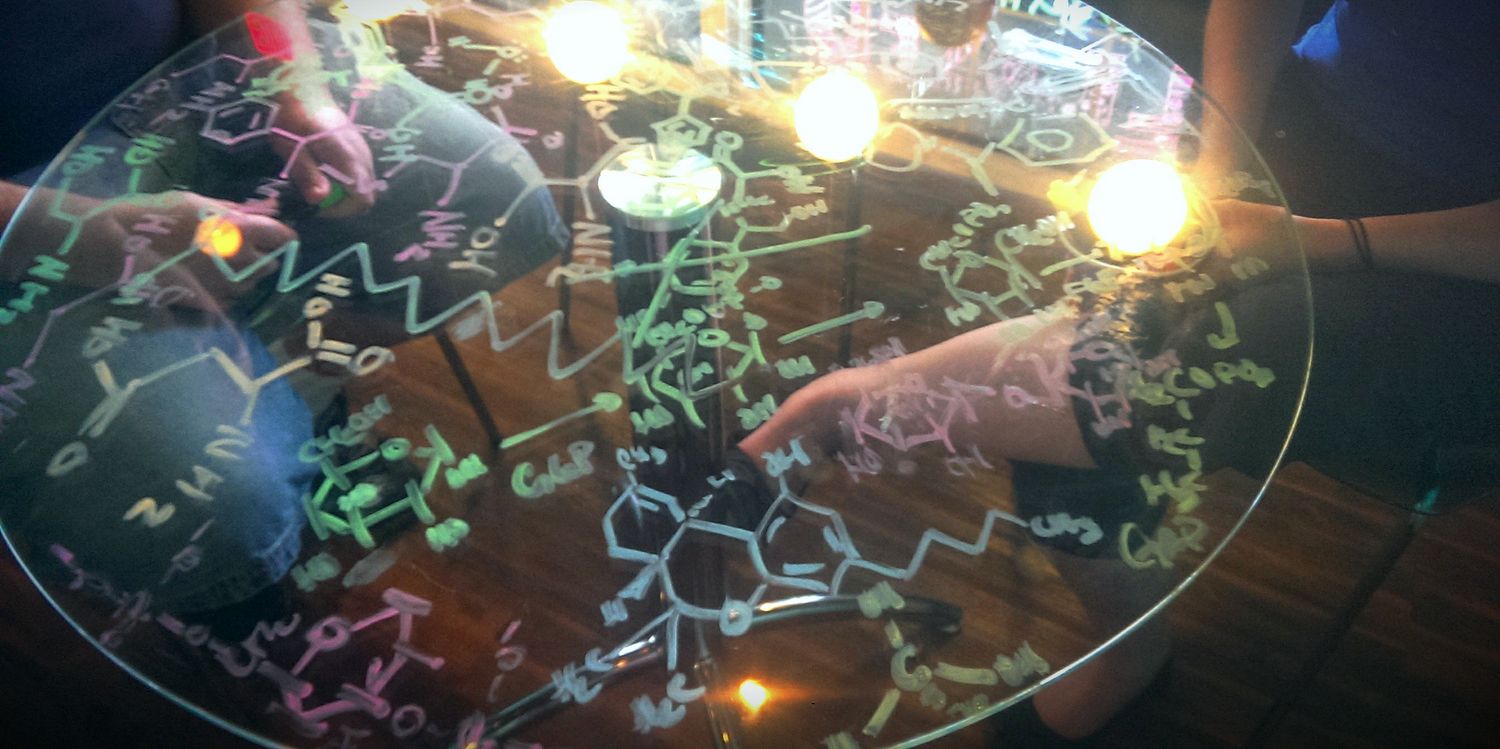 Caitlin Nealon, PhD banner