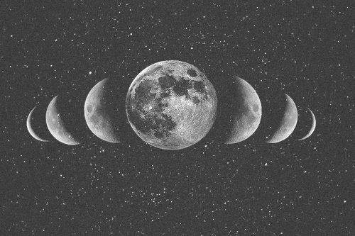 FFiore14's profile banner image
