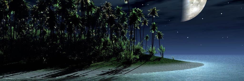 Derek Dzienny banner