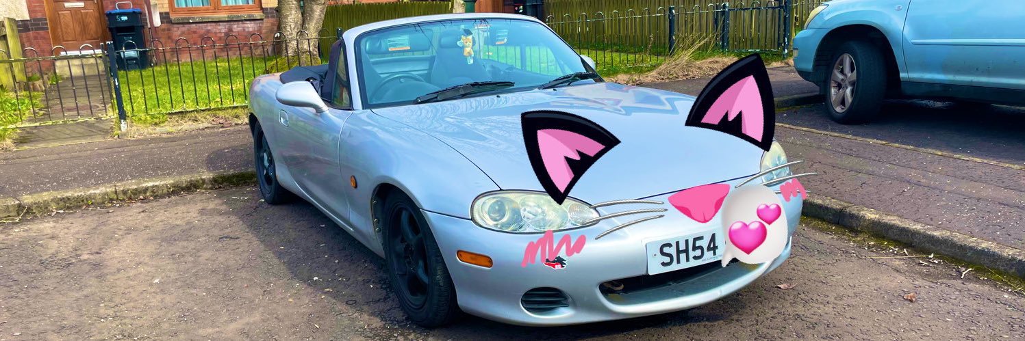 😾😾😾😾 banner
