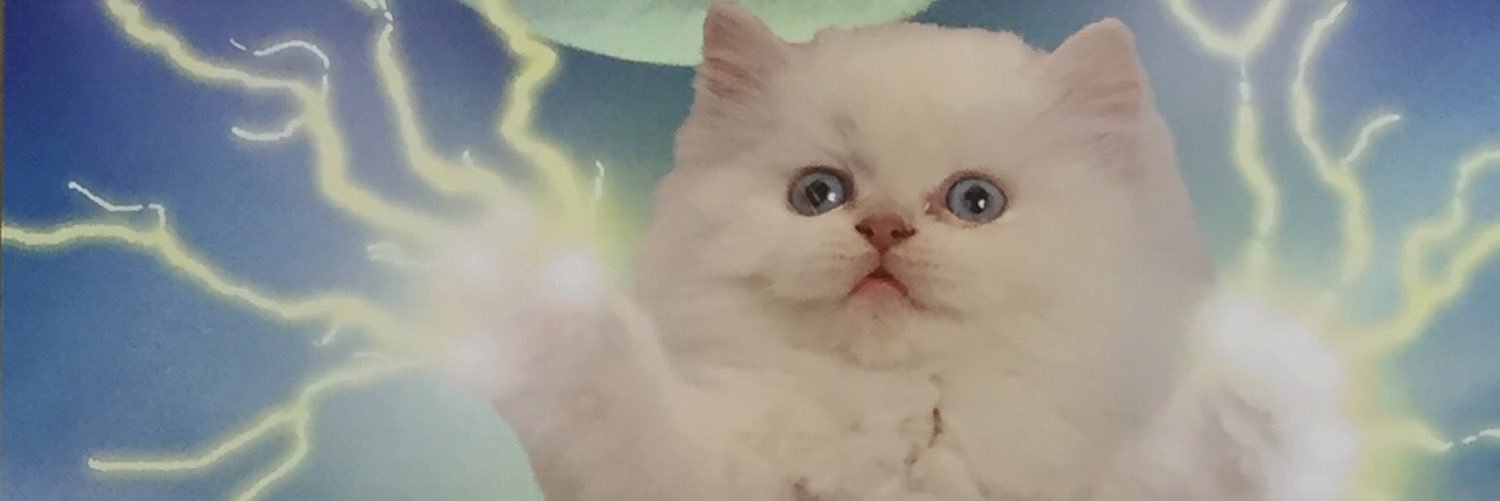 sfarrisyoung's profile banner image