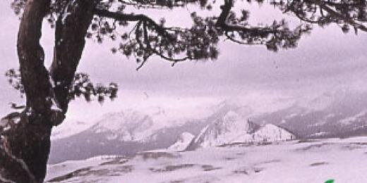 RalphMetzner's profile banner image