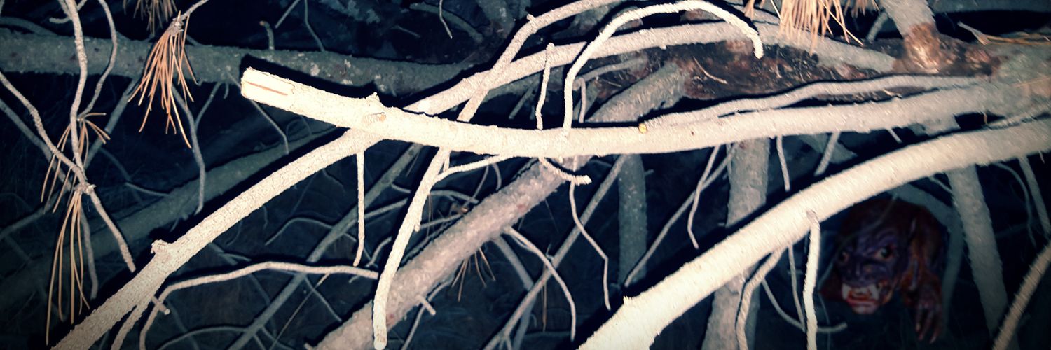 Ricardo Rosado banner