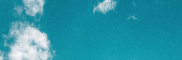 florbarale's profile banner image