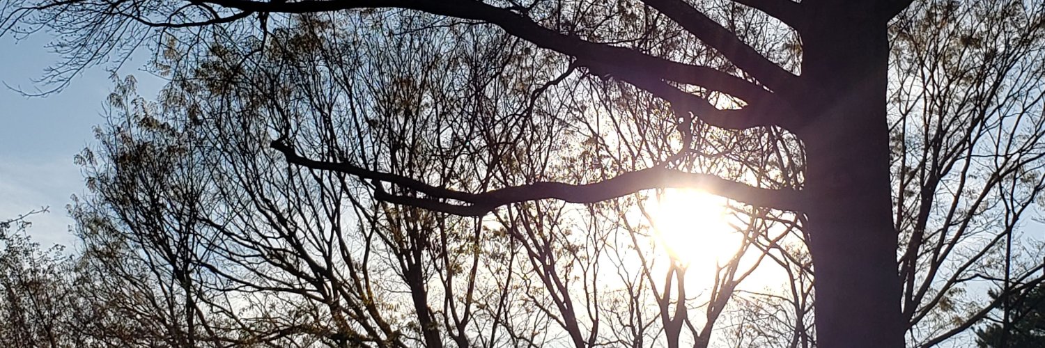jgfoster7's profile banner image