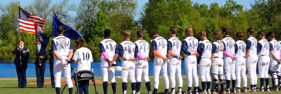 LSWHS_Baseball banner