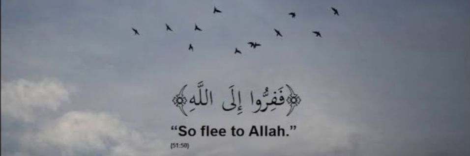 farwaayub's profile banner image