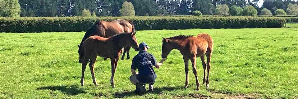 Sam McCullagh banner