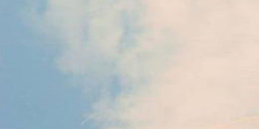 calucoccolamico's profile banner image