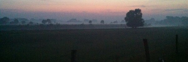 JanGorterNM Profile Banner