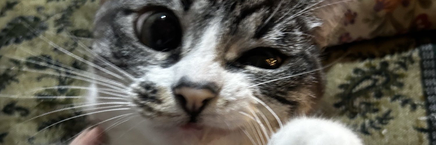 vixsouls's profile banner image