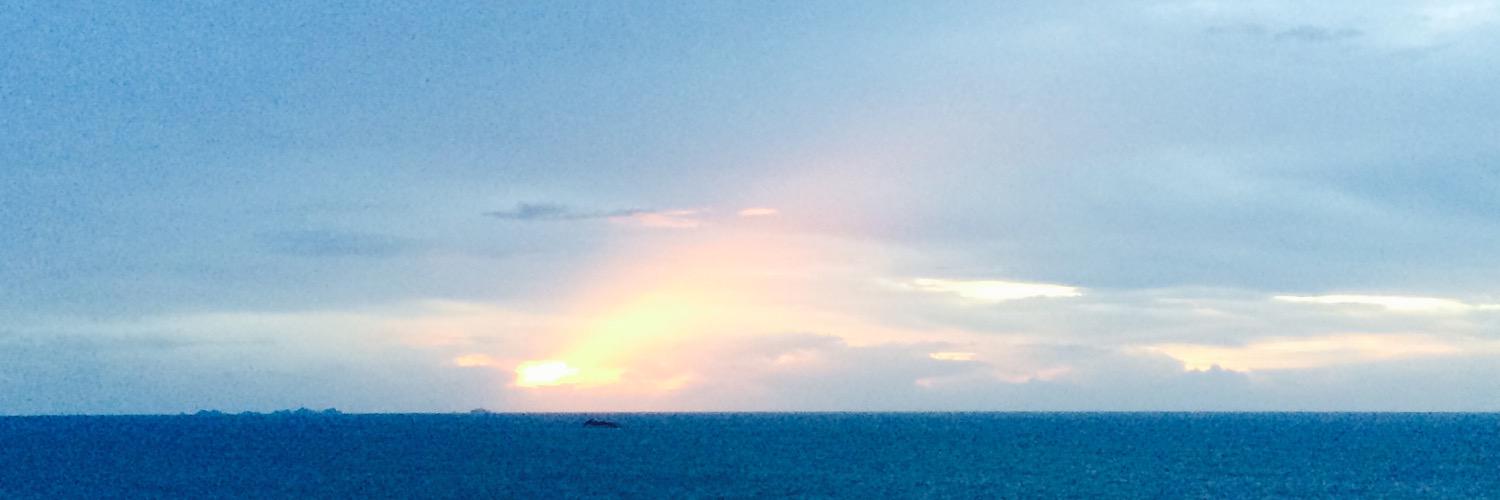 AcidRoze's profile banner image